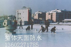 廣州市番禺區(qū)臺實防水補漏防腐工程公司 專業(yè)管道疏通服務與品牌生產供應商